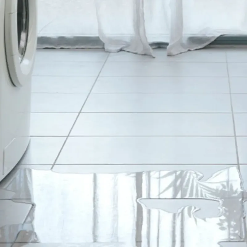 Appliance Leak Cleanup in Orange City, FL